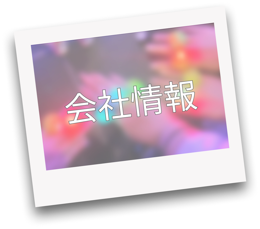 会社情報